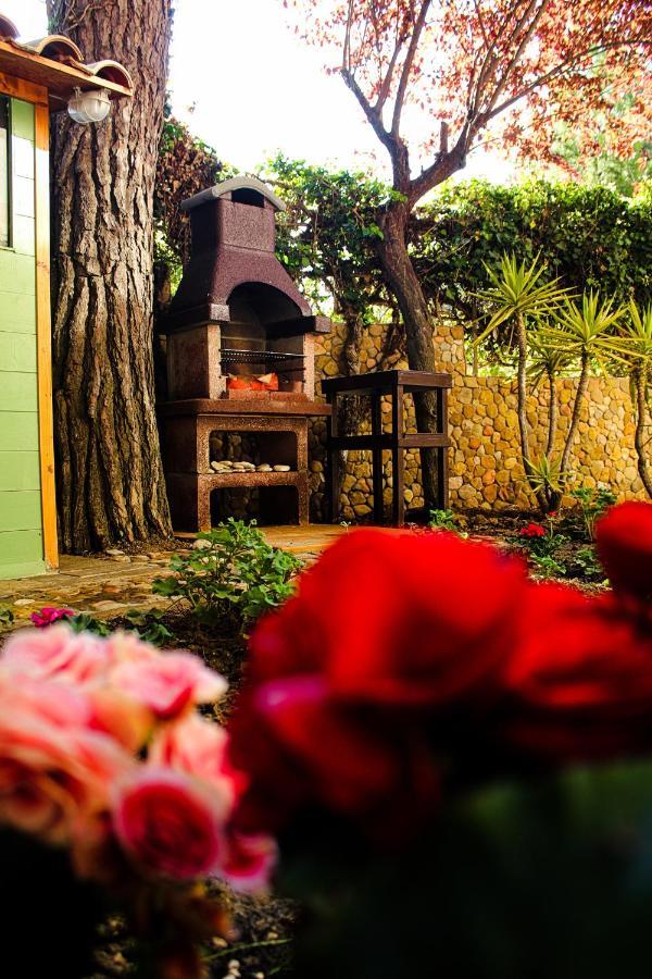 La Casa Di Nonno Giulio Bed & Breakfast Porto SantʼElpidio Eksteriør bilde