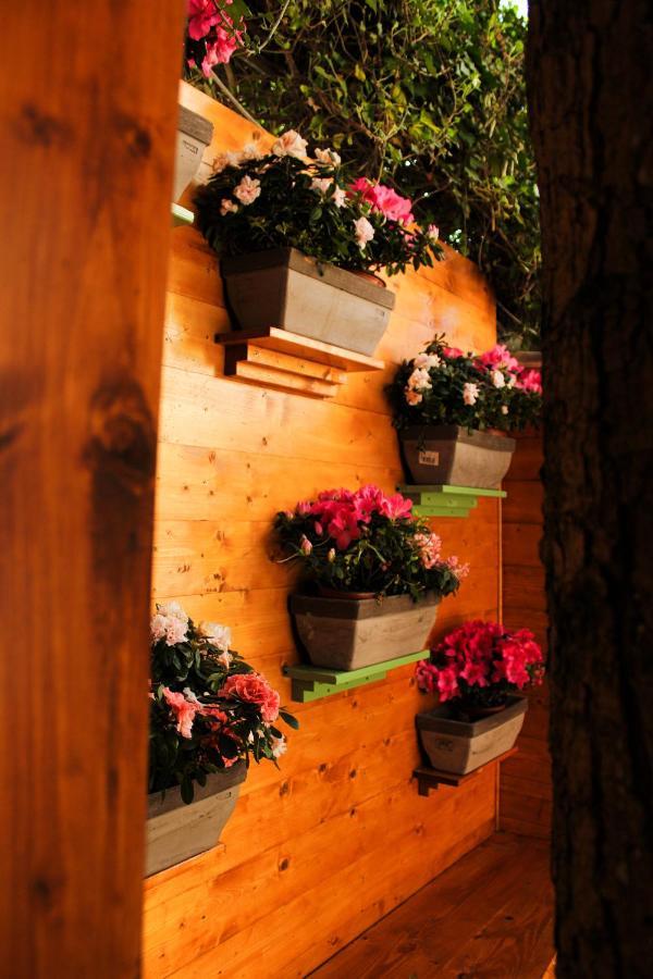 La Casa Di Nonno Giulio Bed & Breakfast Porto SantʼElpidio Eksteriør bilde